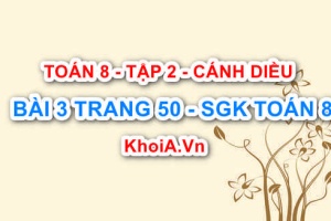 Bài 3 trang 50 Toán 8 Cánh Diều Tập 2
